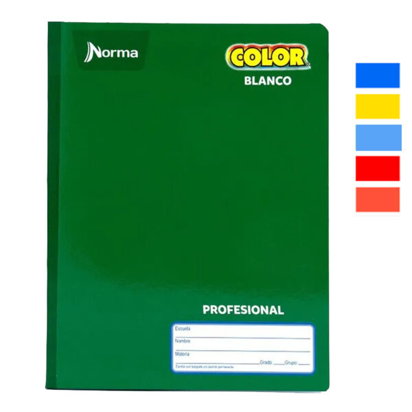 CUADERNO COSIDO PROFESIONAL 100 HOJAS NCOLOR