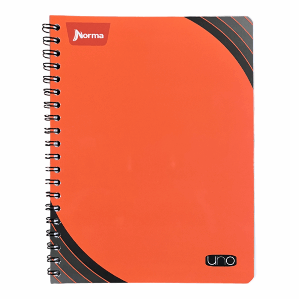 CUAD.PROF.100H UNO         C-5 DO  NORMA
