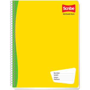 CUADERNO PROFESIONAL 100 HOJAS ESCOLAR PLUS    BCO - RAYA