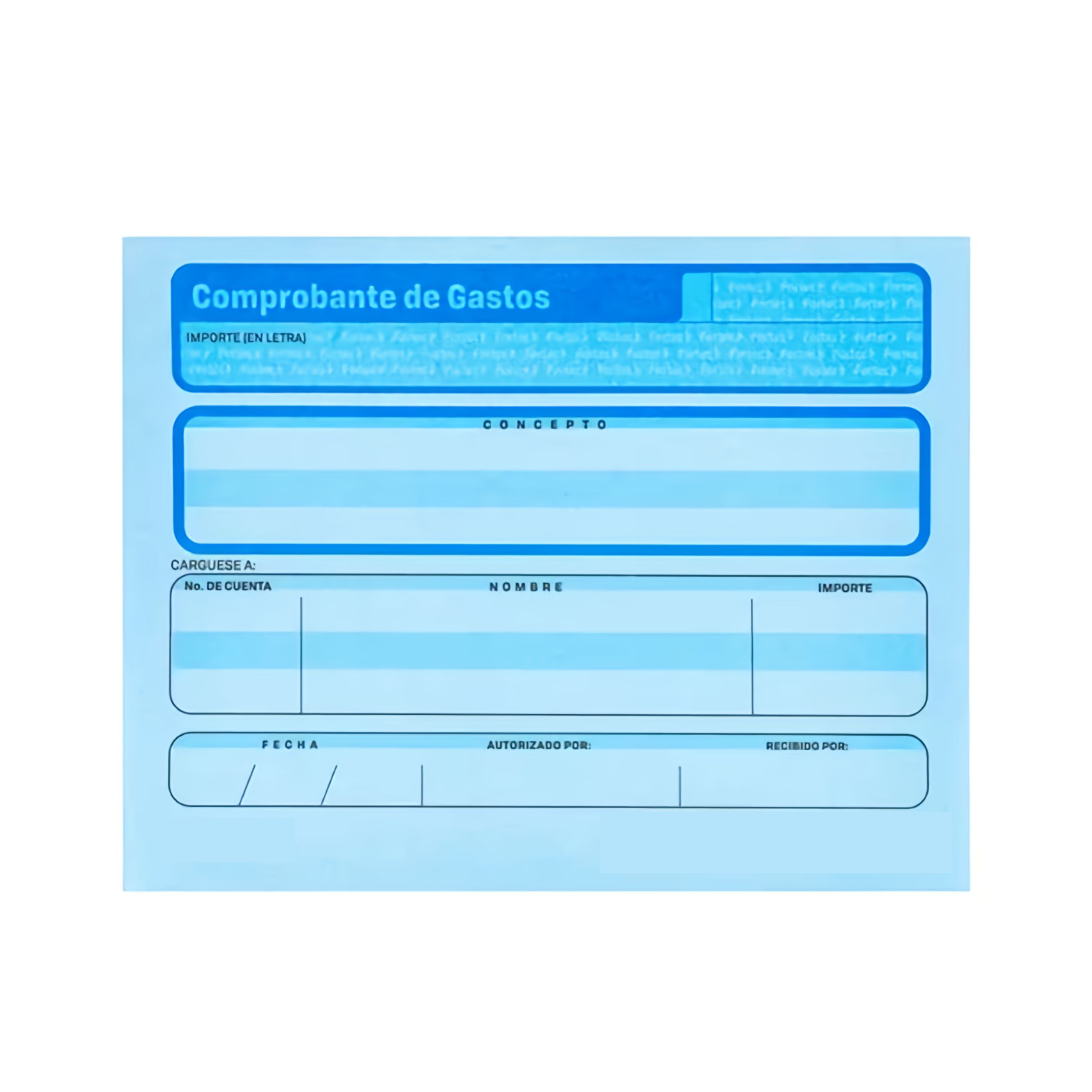 BLOCK 2053 COMPROBANTE DE GASTOS DIPAO